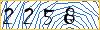 Type the numbers that you see in the picture