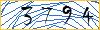 Type the numbers that you see in the picture