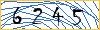 Type the numbers that you see in the picture