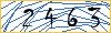 Type the numbers that you see in the picture