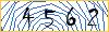 Type the numbers that you see in the picture