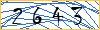Type the numbers that you see in the picture