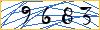 Type the numbers that you see in the picture