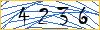 Type the numbers that you see in the picture