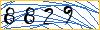 Type the numbers that you see in the picture