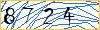 Type the numbers that you see in the picture