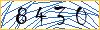 Type the numbers that you see in the picture