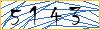 Type the numbers that you see in the picture