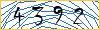 Type the numbers that you see in the picture