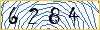 Type the numbers that you see in the picture