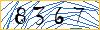 Type the numbers that you see in the picture