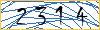 Type the numbers that you see in the picture