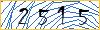 Type the numbers that you see in the picture
