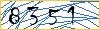 Type the numbers that you see in the picture