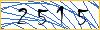 Type the numbers that you see in the picture