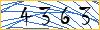 Type the numbers that you see in the picture