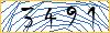 Type the numbers that you see in the picture