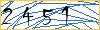 Type the numbers that you see in the picture