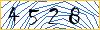 Type the numbers that you see in the picture