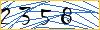 Type the numbers that you see in the picture