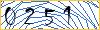 Type the numbers that you see in the picture