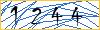 Type the numbers that you see in the picture