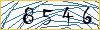 Type the numbers that you see in the picture