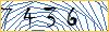 Type the numbers that you see in the picture