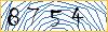 Type the numbers that you see in the picture